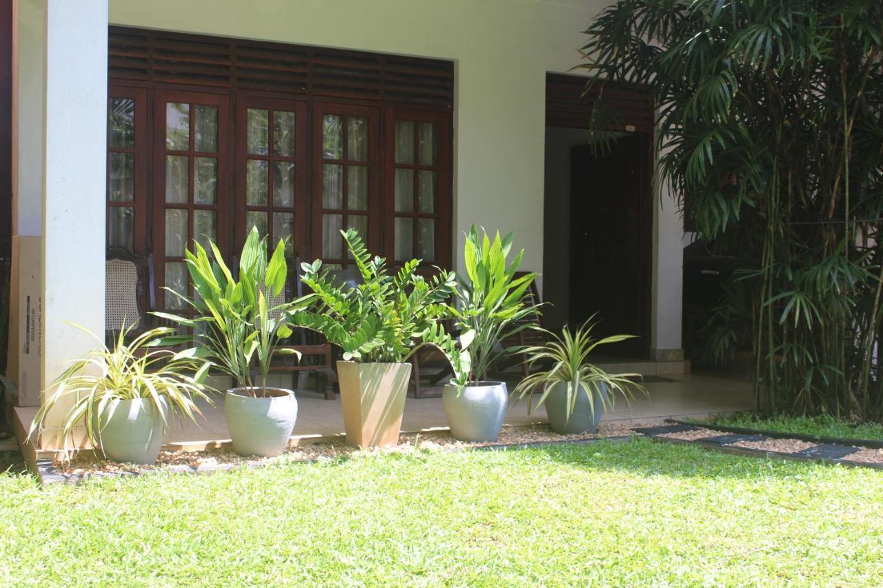 Bird'S Nest By Natures Bliss Ragama Exterior photo